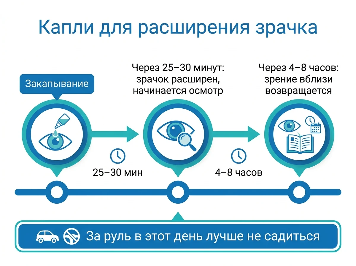 Капли: когда действуют и сколько держатся Тайминг действия капель для расширения зрачка